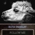 Elvis Presley - Cotton Candy Land