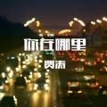贾涛 - 你在哪里