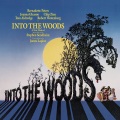 bernadette peters、Chip Zien、kim crosby、Danielle Ferland、ben wright、Original Broadway Cast of Into the Woods - Your Fault / Last Midnight