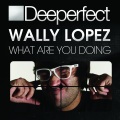 wally lopez - What Are You Doing (Original Mix)(Remix)