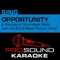 ProSound Karaoke Band - Opportunity