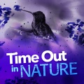 Nature Sounds 2015 - Springtime Bird Song