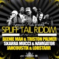 Skarra Mucci、MC Navigator - Water & Blood