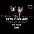 Nikitin、Semikashev - Reflection Vector