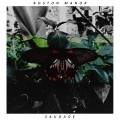 Boston Manor - Gone