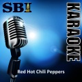 SBI Audio Karaoke - Hump De Bump