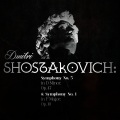 Symphony Of The Air - Symphony No. 1 in F Major, Op. 10: I. Allegretto - Allegro non troppo