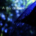 Sounds Of Nature : Thunderstorm、Rain - Night-Time Downpour