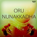 rahul nambiar - Ponne Nin Ormakalil, Pt. 1