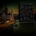 bamberg symphony orchestra - Hungarian Dances: No. 20 in E Minor