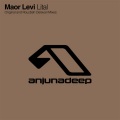Maor Levi - Lital (Rouzbeh Delavari Remix)