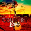 country love - Every Little Thing