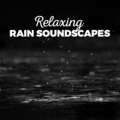 Calming Sounds - Wet Day