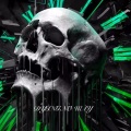 赵越 - Dying No Way