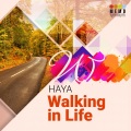 Haya - Little Camel