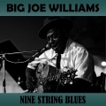 big joe williams - Jiving the Blues
