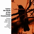 The Birds - Robin