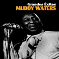 Muddy Waters - Nine Below Zero