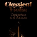 Salvatore Accardo - Violin Concerto: I. Andante tranquillo