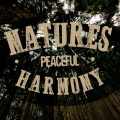 Nature Sounds - Copse Water