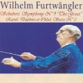 Berliner Philharmoniker - Symphony No. 9 in C Major, D. 944: I. Andante - Allegro, ma non troppo - Più moto