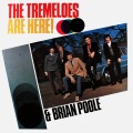 Brian Poole And The Tremeloes - I Want Candy