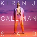 Kirin J Callinan - S. A. D.