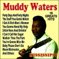 Muddy Waters - You Can't Lose What You Ain't Never Had