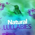 Deep Sleep Nature Sounds - Running Waters