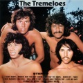 the tremeloes - Times Have Changed