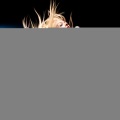 ProSource Karaoke - Lover's Concerto (In the Style of Toys)(Demo Vocal Version)