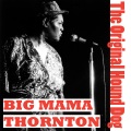 big mama thornton - Walking Blues