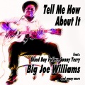 big joe williams - 49 Highway Blues