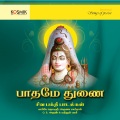 p. unnikrishnan - Yarukkuthan Teriyum