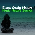 Exam Study Nature Music Nature Sounds - Spring Bird Bath