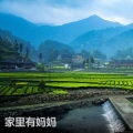 洪凯 - 家里有妈妈