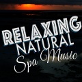 Green Nature SPA - Wings Around the Water
