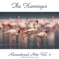 the flamingos - Everybody's Got a Home