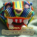 Cosmos Vibration - Totality of oneself