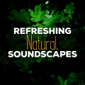Nature Sounds 2015 - Water Source