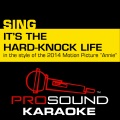 ProSound Karaoke Band - It's the Hard-Knock Life