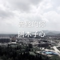 阿木子心 - 那些年的青春岁月