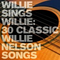 Willie Nelson - Country Willie - Original