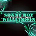 Sonny Boy Williamson、Big Bill Broonzy、Blind John Davis - Sonny Boy's Jump