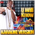 Ameritz Top Tracks - U Will Know