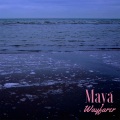 Lalo Elizalde - Wayfarer