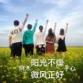 阿木子心 - 阳光不燥微风正好