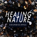 The Healing Sounds of Nature - Calm Flow