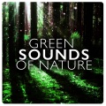 Green Nature SPA - Stream Through the Trees