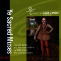 The Royal Consort、David Cordier - Ah, Silly Soul